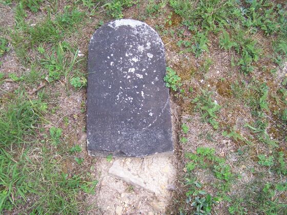 Click to See Next Image