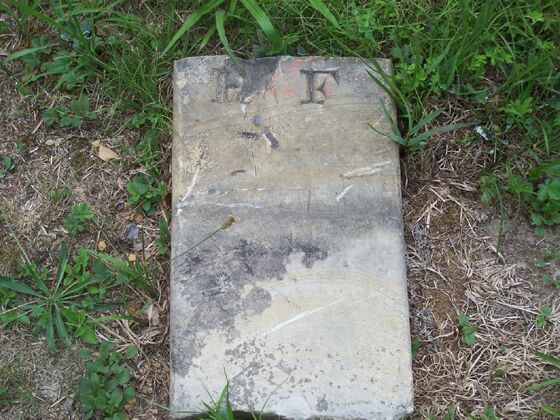 Click to See Next Image