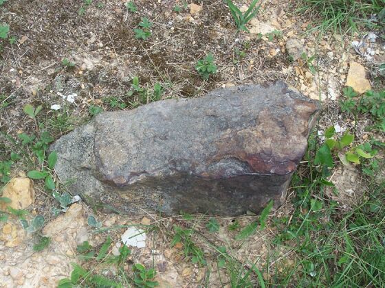 Click to See Next Image