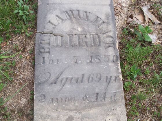 Click to See Next Image