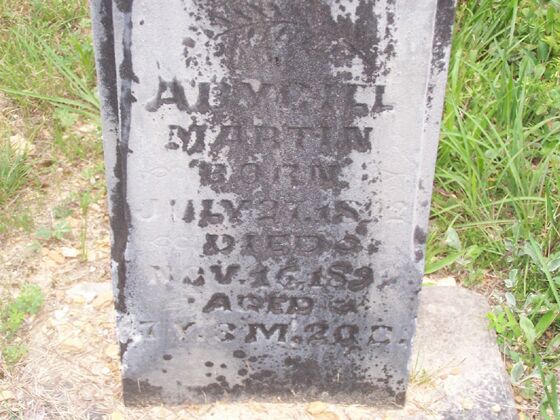 Click to See Next Image