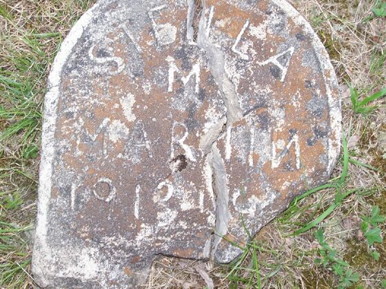 Click to See Next Image