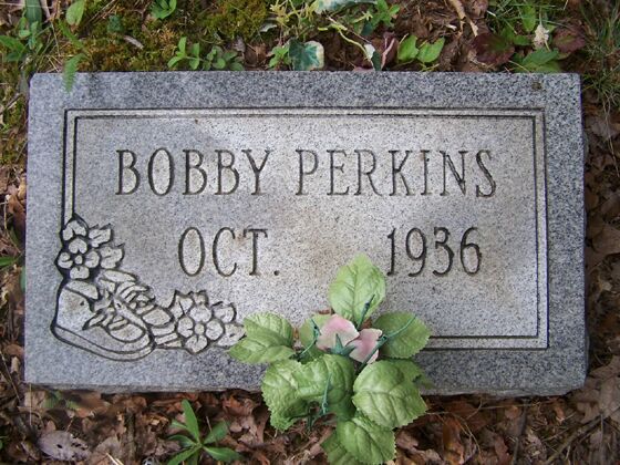 Click to See Next Image