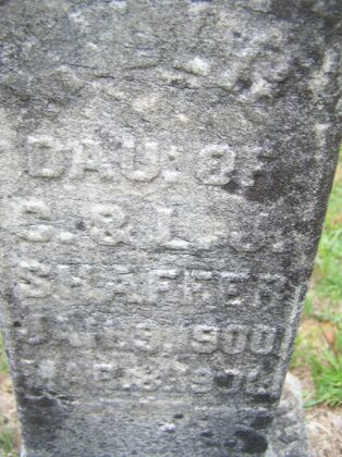 Click to See Next Image