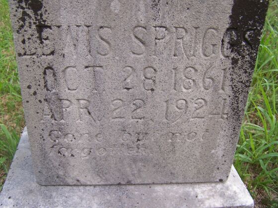 Click to See Next Image