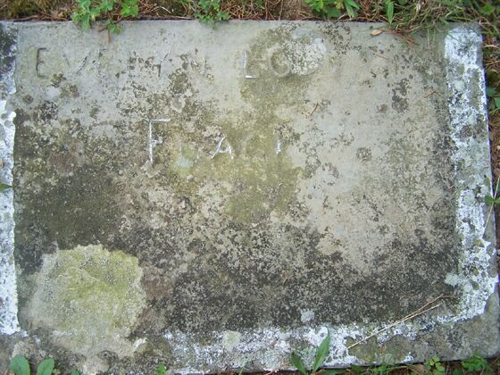 Click to See Next Image