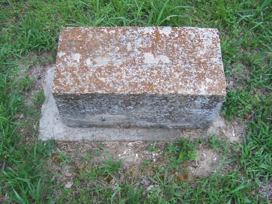 Click to See Next Image